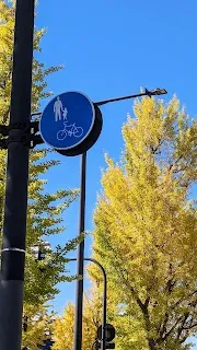 Avile Shared Bicycle (Cyclocity Toyama) — bike rental in Toyama