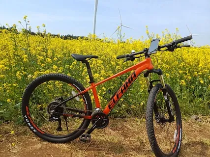 Box and Bicycle (박스앤자전거) — bike rental in Jeju City