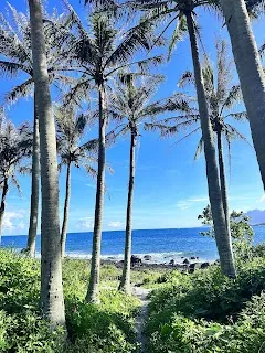 Chenggong Electric Bike Rental (成功電動腳踏車出租店) — bike rental in Chenggong