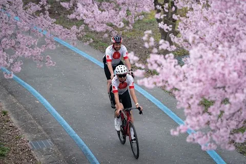 Cycle Japan / Air Bike Tours — bike rental in Furano