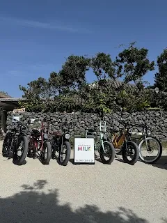 e-BIKE Rental MILK (Taketomi Island) — bike rental in Taketomi
