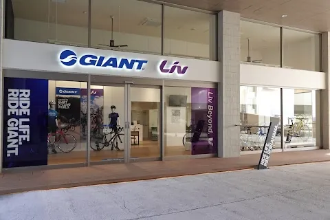 GIANT Store Nanki Shirahama — bike rental in Shirahama