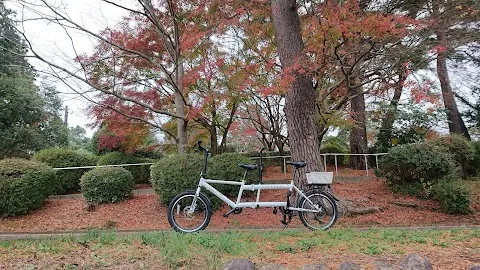 Nodake Rental Cycle (Nodake Forest Park) — bike rental in Omura