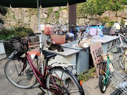Smile Rental Cycle (Smile Bicycle) — bike rental in Hagi