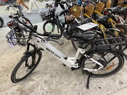 Zhonghua Bicycle Rental — bike rental in Sun Moon Lake